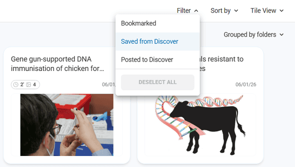 Card filtering interface showing bookmark and Discover filter options